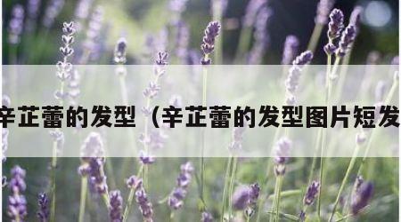 辛芷蕾的发型（辛芷蕾的发型图片短发）