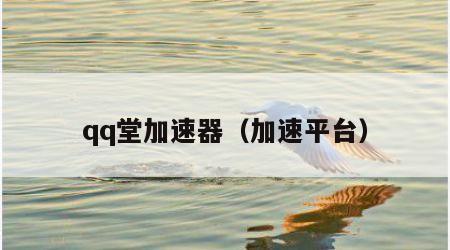 qq堂加速器（加速平台）
