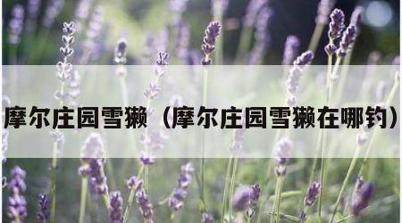 摩尔庄园雪獭（摩尔庄园雪獭在哪钓）