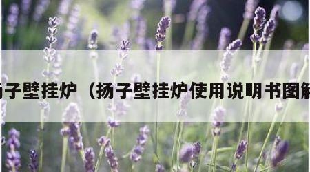 扬子壁挂炉（扬子壁挂炉使用说明书图解）