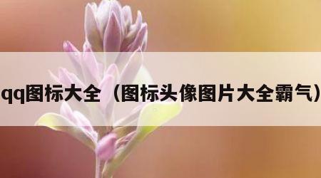 qq图标大全（图标头像图片大全霸气）