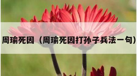 周瑜死因（周瑜死因打孙子兵法一句）