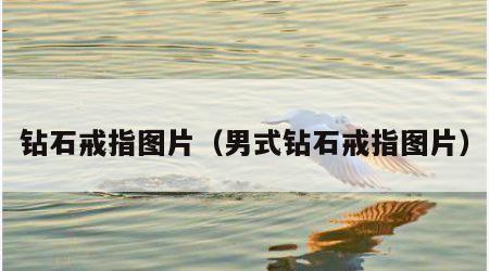钻石戒指图片（男式钻石戒指图片）