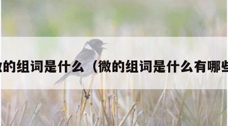 微的组词是什么（微的组词是什么有哪些）