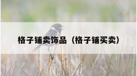 格子铺卖饰品（格子铺买卖）
