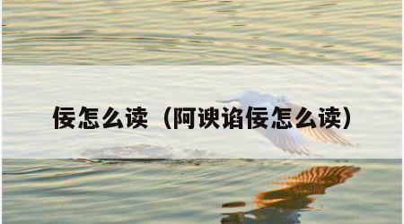 佞怎么读（阿谀谄佞怎么读）