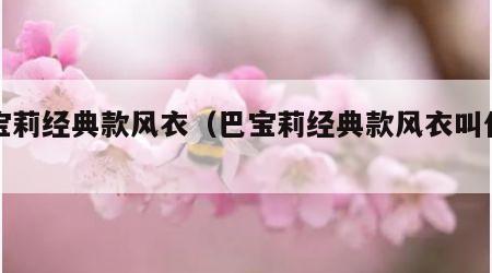 巴宝莉经典款风衣（巴宝莉经典款风衣叫什么）