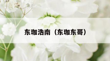 东珈浩南（东珈东哥）