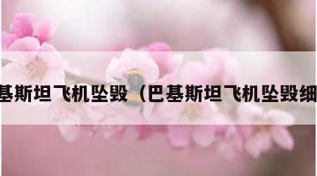 巴基斯坦飞机坠毁（巴基斯坦飞机坠毁细节）