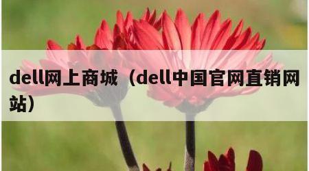 dell网上商城（dell中国官网直销网站）