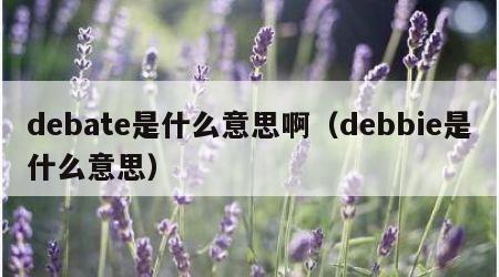 debate是什么意思啊（debbie是什么意思）