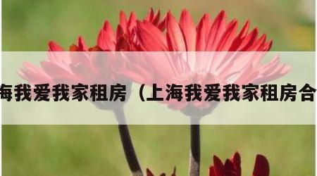 上海我爱我家租房（上海我爱我家租房合同）