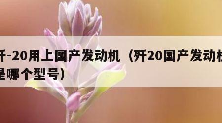 歼-20用上国产发动机（歼20国产发动机是哪个型号）