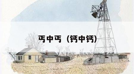 丐中丐（钙中钙）