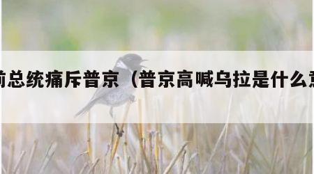 乌前总统痛斥普京（普京高喊乌拉是什么意思）