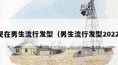 现在男生流行发型（男生流行发型2022）