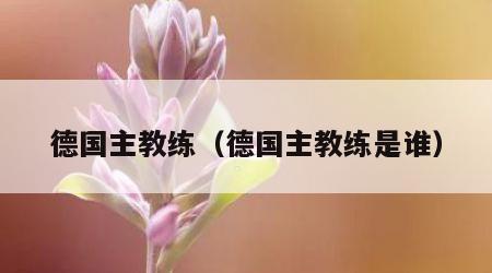 德国主教练（德国主教练是谁）
