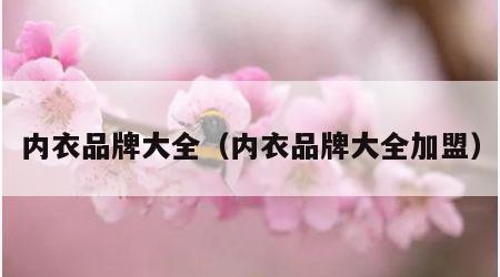 内衣品牌大全（内衣品牌大全加盟）