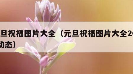 元旦祝福图片大全（元旦祝福图片大全2022动态）
