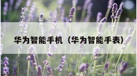 华为智能手机（华为智能手表）