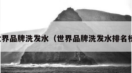 世界品牌洗发水（世界品牌洗发水排名榜）