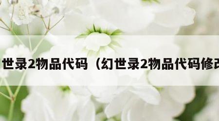 幻世录2物品代码（幻世录2物品代码修改）
