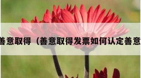 善意取得（善意取得发票如何认定善意）