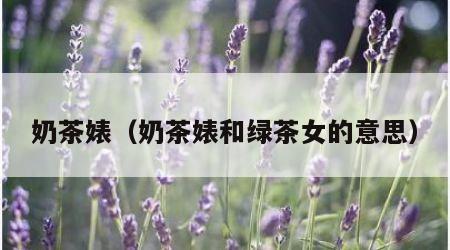 奶茶婊（奶茶婊和绿茶女的意思）
