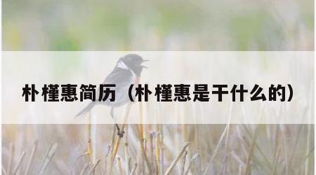 朴槿惠简历（朴槿惠是干什么的）