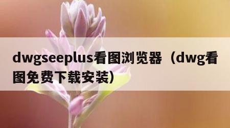 dwgseeplus看图浏览器（dwg看图免费下载安装）