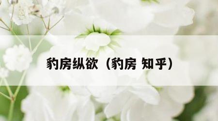 豹房纵欲（豹房 知乎）