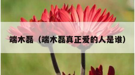 端木磊（端木磊真正爱的人是谁）