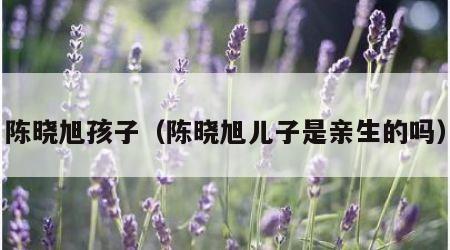 陈晓旭孩子（陈晓旭儿子是亲生的吗）