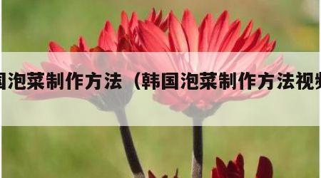 韩国泡菜制作方法（韩国泡菜制作方法视频教学）