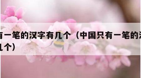 只有一笔的汉字有几个（中国只有一笔的汉字有几个）