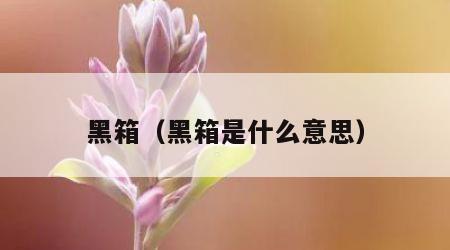 黑箱（黑箱是什么意思）