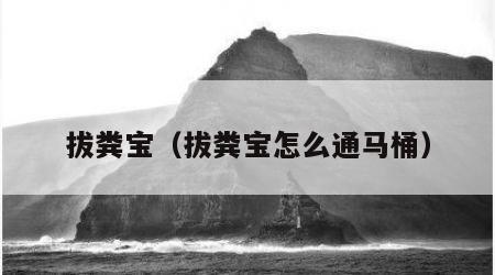 拔粪宝（拔粪宝怎么通马桶）