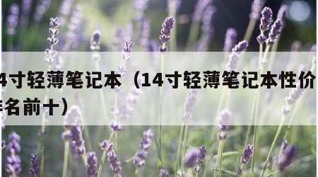 14寸轻薄笔记本（14寸轻薄笔记本性价比排名前十）