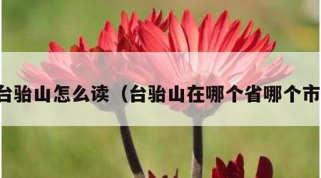 台骀山怎么读（台骀山在哪个省哪个市）