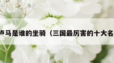 的卢马是谁的坐骑（三国最厉害的十大名马）