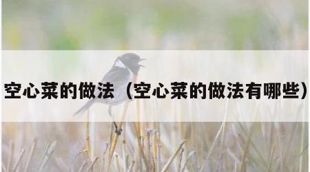 空心菜的做法（空心菜的做法有哪些）