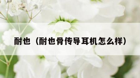 耐也（耐也骨传导耳机怎么样）