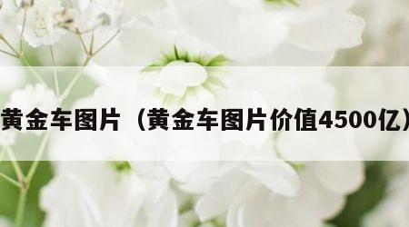 黄金车图片（黄金车图片价值4500亿）