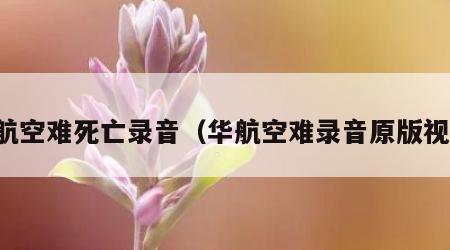 华航空难死亡录音（华航空难录音原版视频）