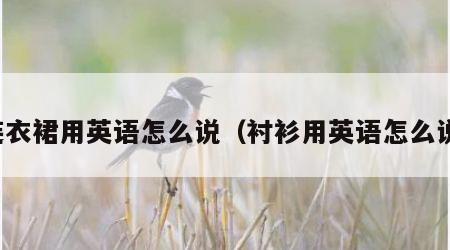 连衣裙用英语怎么说（衬衫用英语怎么说）