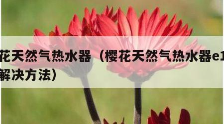 樱花天然气热水器（樱花天然气热水器e1故障解决方法）