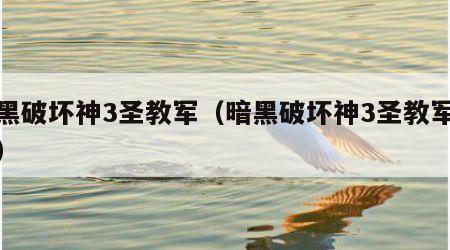 暗黑破坏神3圣教军（暗黑破坏神3圣教军套装）