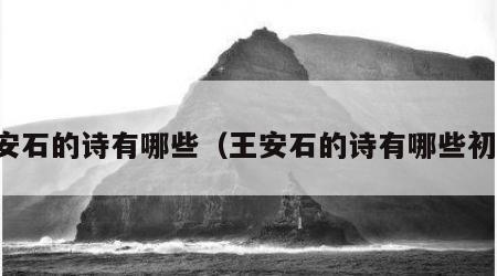王安石的诗有哪些（王安石的诗有哪些初中）