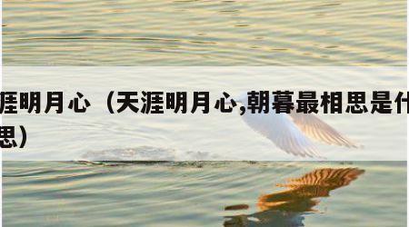 天涯明月心（天涯明月心,朝暮最相思是什么意思）