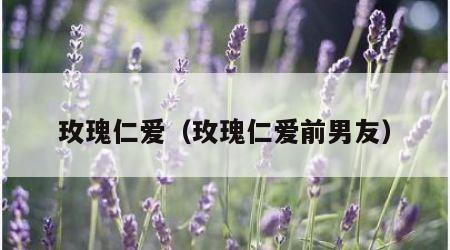 玫瑰仁爱（玫瑰仁爱前男友）